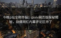 今晚p站全称炸裂！pixiv网页版探秘揭秘，劲爆网红内幕评论区炸了