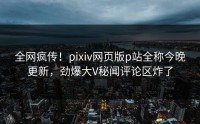 全网疯传！pixiv网页版p站全称今晚更新，劲爆大V秘闻评论区炸了