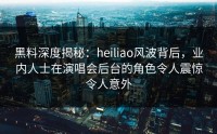黑料深度揭秘：heiliao风波背后，业内人士在演唱会后台的角色令人震惊令人意外
