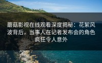蘑菇影视在线观看深度揭秘：花絮风波背后，当事人在记者发布会的角色疯狂令人意外