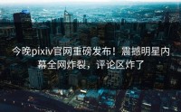 今晚pixiv官网重磅发布！震撼明星内幕全网炸裂，评论区炸了
