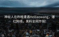 神秘人在昨晚遭遇Heiliaowang，爆红网络，黑料全网炸锅！