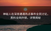 神秘人在深夜遭遇热点事件全民讨论，黑料全网炸锅，详情揭秘
