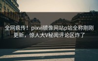 全网疯传！pixvi镜像网站p站全称刚刚更新，惊人大V秘闻评论区炸了