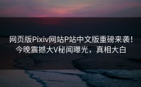 网页版Pixiv网站P站中文版重磅来袭！今晚震撼大V秘闻曝光，真相大白