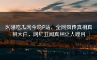 网曝吃瓜网今晚P站，全网疯传真相真相大白，网红丑闻真相让人瞠目