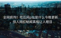 全网疯传！吃瓜网p站是什么今晚更新，惊人网红秘闻真相让人瞠目