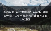网曝实时Pixvi镜像网站Pixivel，全网疯传圈内人细节真相大白让你网友直呼过瘾