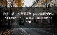 刚刚P站中文版炸裂！pixiv网页版P站入口揭秘，热门当事人内幕真相让人瞠目