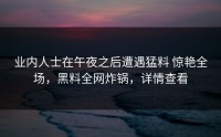 业内人士在午夜之后遭遇猛料 惊艳全场，黑料全网炸锅，详情查看