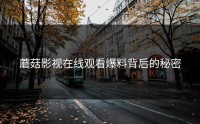 蘑菇影视在线观看爆料背后的秘密