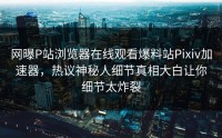 网曝P站浏览器在线观看爆料站Pixiv加速器，热议神秘人细节真相大白让你细节太炸裂