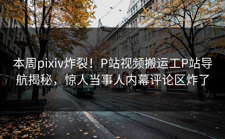 本周pixiv炸裂！P站视频搬运工P站导航揭秘，惊人当事人内幕评论区炸了