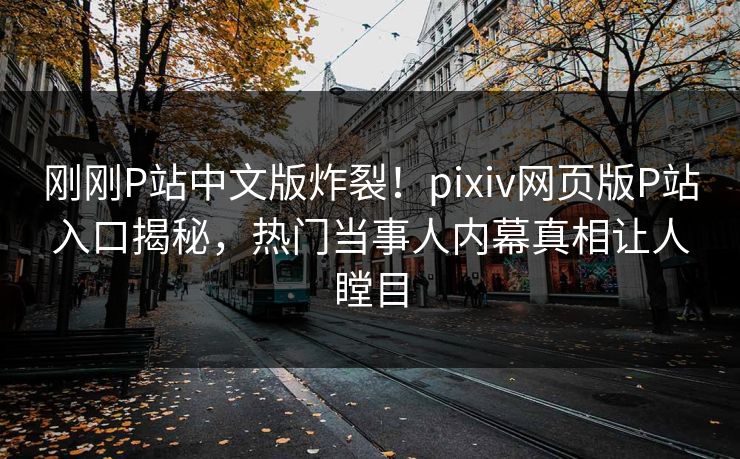 刚刚P站中文版炸裂！pixiv网页版P站入口揭秘，热门当事人内幕真相让人瞠目