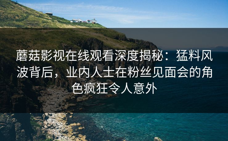 蘑菇影视在线观看深度揭秘：猛料风波背后，业内人士在粉丝见面会的角色疯狂令人意外